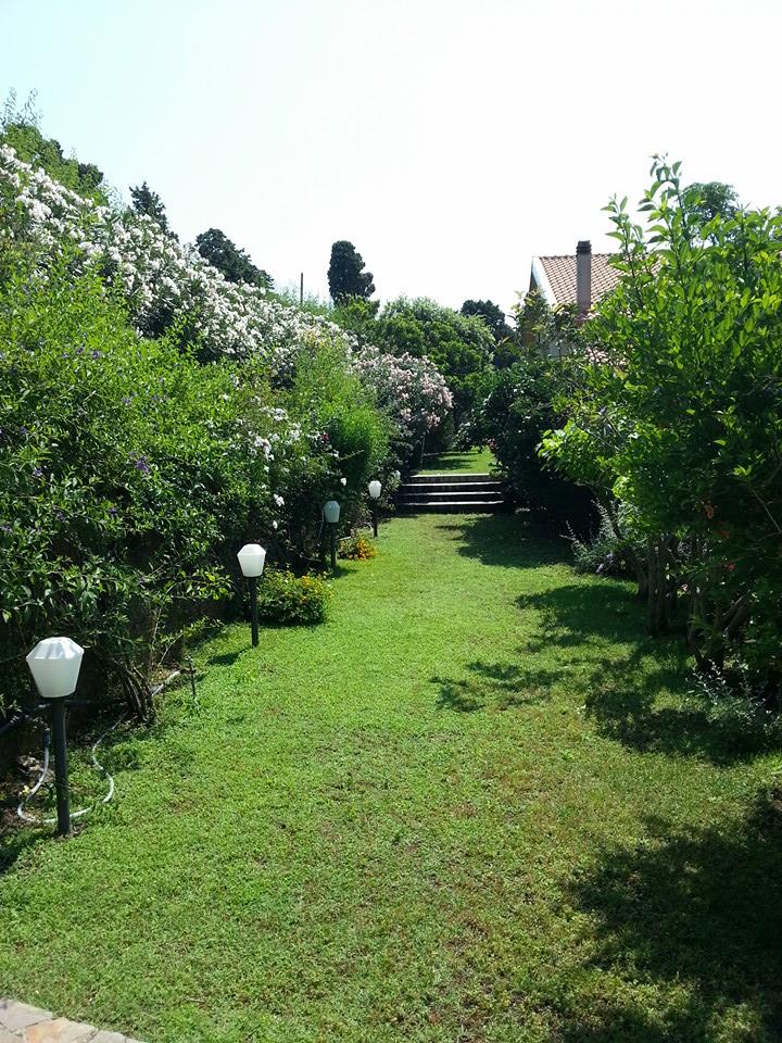 Private garden, sunset ceremony — Before